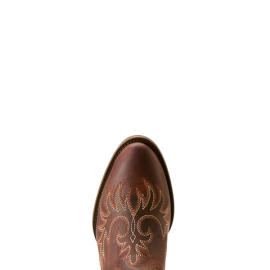 Ariat - Carlin Brown