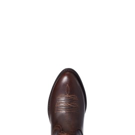Ariat - Darlin Brown