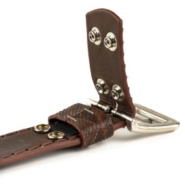 Mayura 1020 Snakeskin Python Belt Castana
