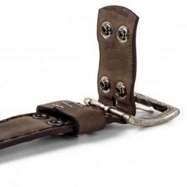 Mayura 658 Biker Belt Brown
