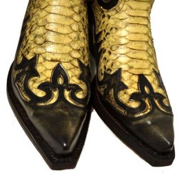 Sendra - 3241P - Denver Earth Python